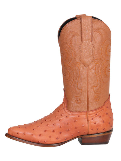 Cowboy boot  El Senor de los Cielos - Imitation Ostrich - Cognac  40835