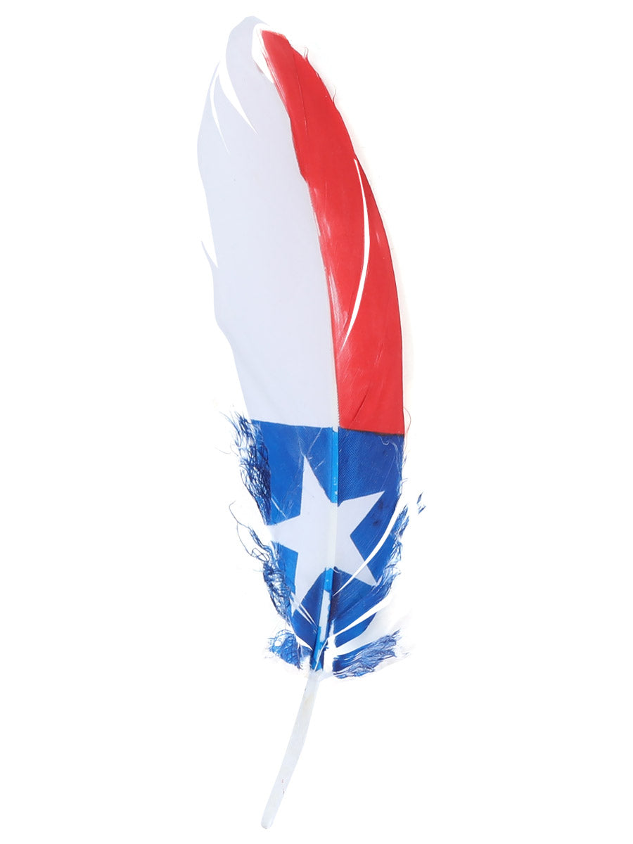 Decorative Texas Feather Hat Accessory 42039
